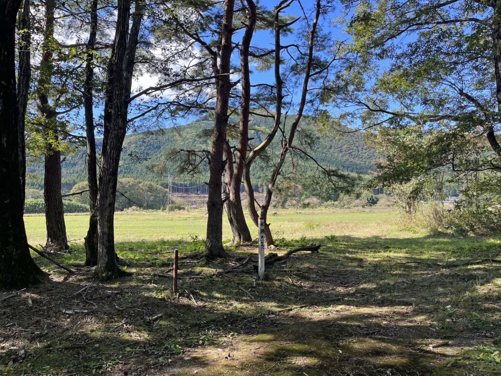 793-3遅野沢